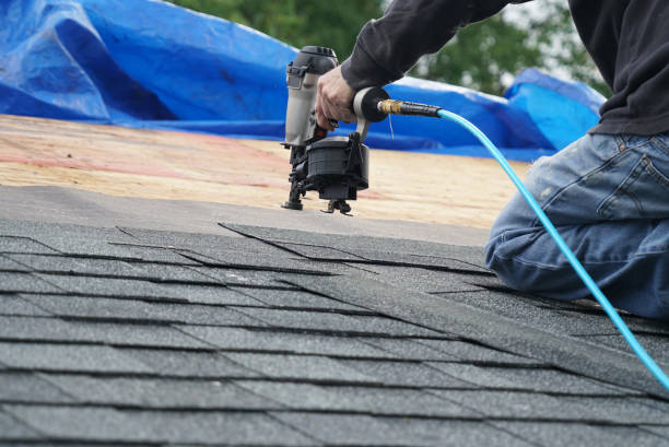 Professional Roofing Contractor in Elkins, AR